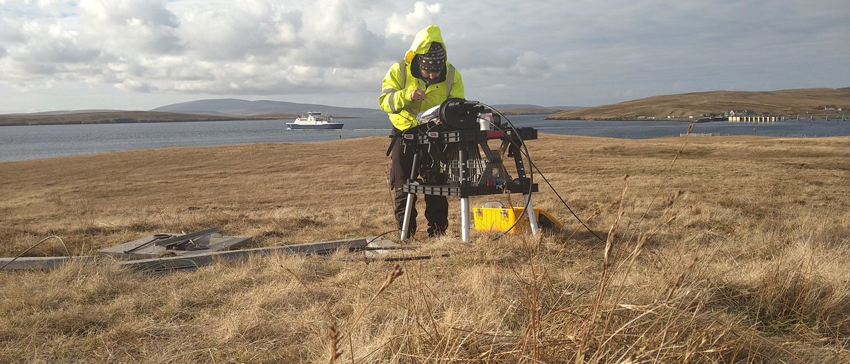 Shetland Telecom tweet media