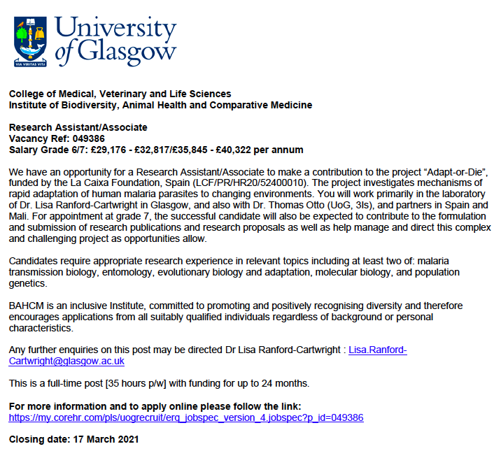 elenagomezdiaz's tweet photo. SEEKING a #postdoc to join #ADAPTORDIE project (@csic @UofGlasgow @ComUSTTB) funded by @CaixaCiencia! 

The project investigates mechanisms of adaptation in #malaria (https://t.co/4B9iwr0mDq)

The candidate will join @LisaR_C Lab @IBAHCM

Apply by 17/03👉
https://t.co/FWkYOqj1pi https://t.co/ann22TocB8
