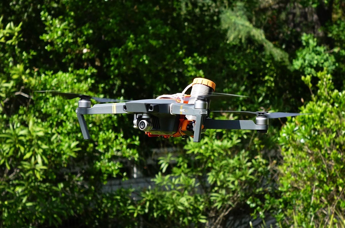 Fruity Chutes tweet media