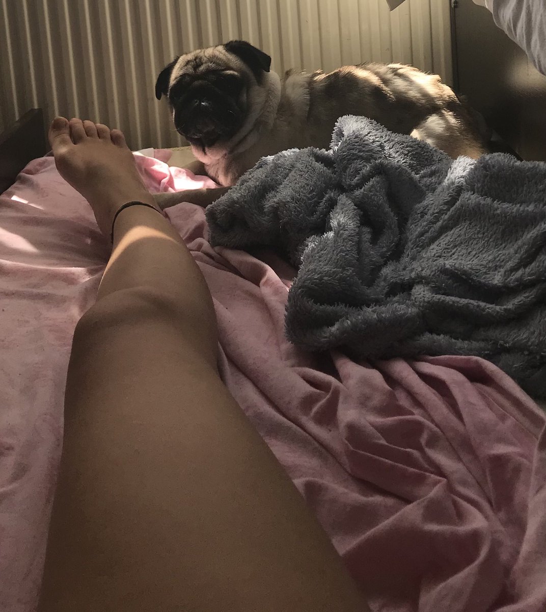 Yanımdaki köpek kadar şansınız var köpeklerim ayağıma masaj yapıcak köleler takip #köle #ayakfetişi #slave #sahibe