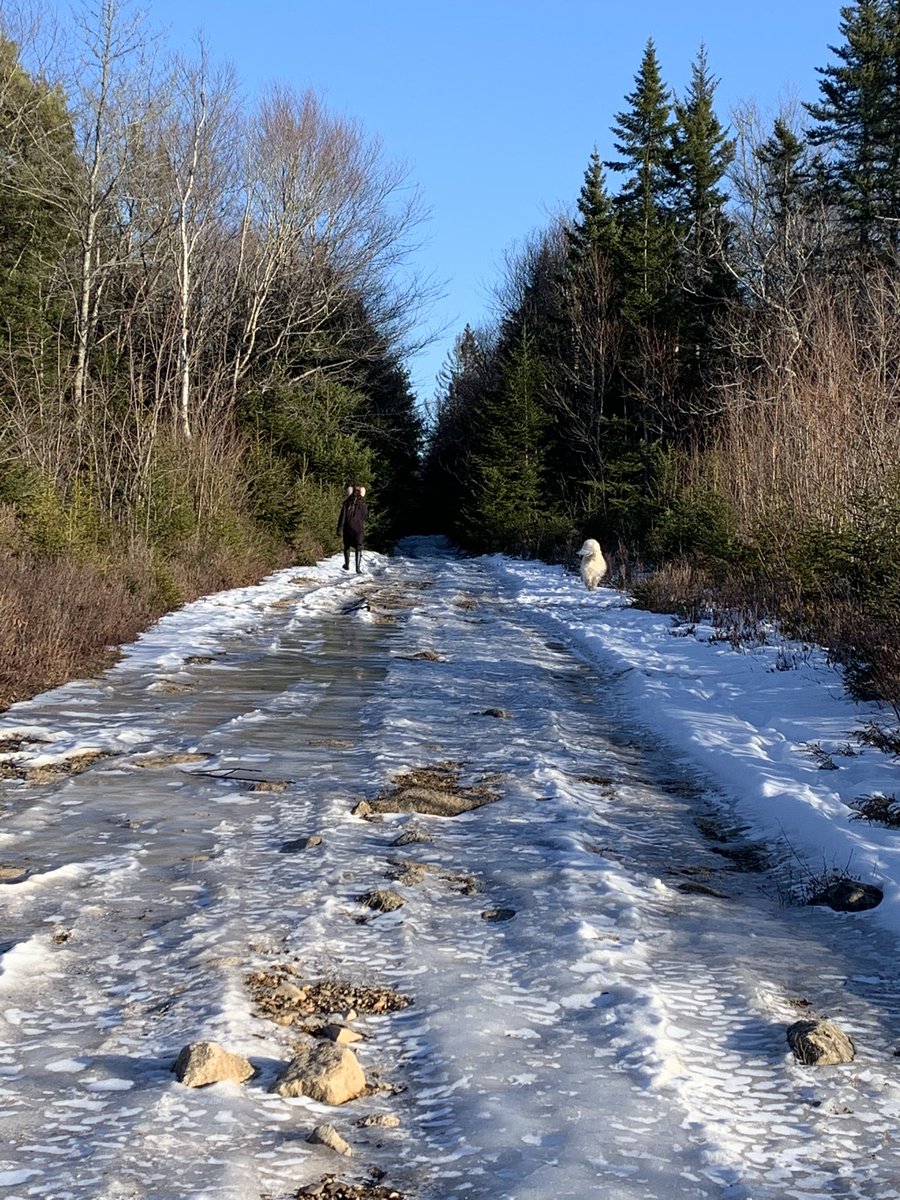 Melissa35158868's tweet photo. Worst time of year for the trail! 😣 50% snow, 25% ice, 25% mud 💩💩💩💩—almost died! 😝 #ouch my butt! 😝 #onlyfellonce sonny Loved it all- of course 🙏🙏💪🏻😂 https://t.co/LYC7zM4C3y
