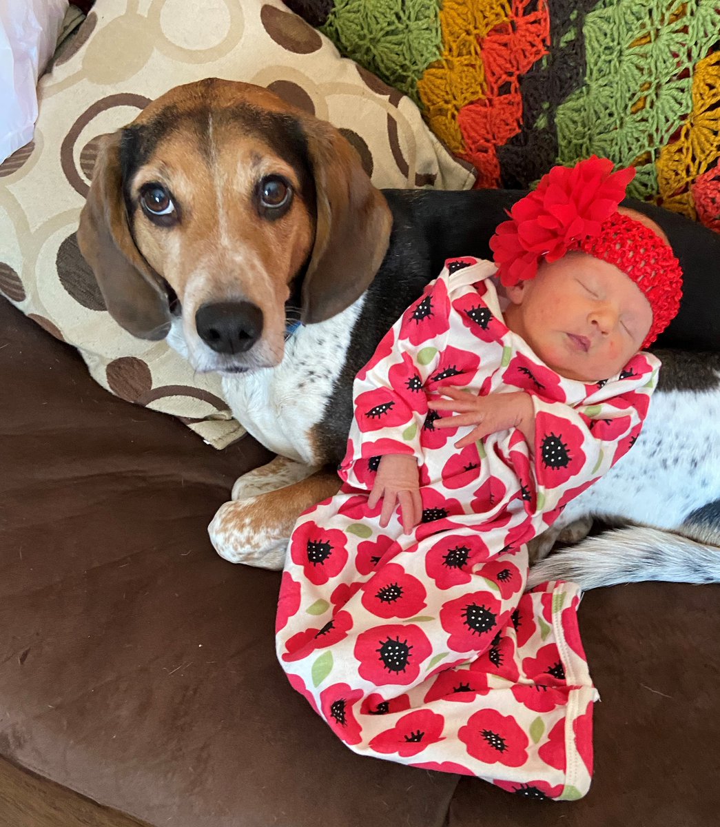 The Highlights Foundation tweet media