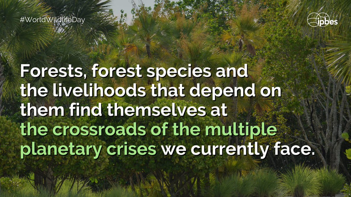 UN Biodiversity tweet media