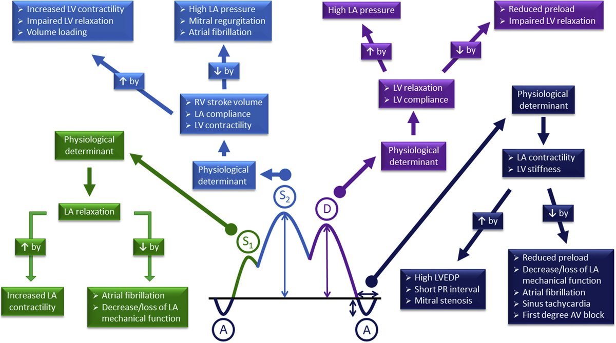 In a review article by Fadel @PPibarot et al. @JournalASEcho (bit.ly/30cg6fm), #EchoFirst spectral doppler of the pulmonary veins and relevance for cardiac diseases is discussed. @ASE360 @DocStrom @iamritu @LucySafi @amerjohri @mswami001 @DavidWienerMD @mikepicardmd