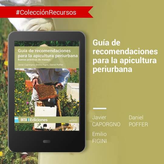 Compartimos una de nuestras publicaciones más consultadas sobre #apicultura  🐝🐝

En el libro encontrarás un panorama completo, dentro del AMBA, en materia de apiarios, predio de horticultores y otros datos esenciales para incrementar la producción y la calidad de hortalizas y frutas a través de la polinización.