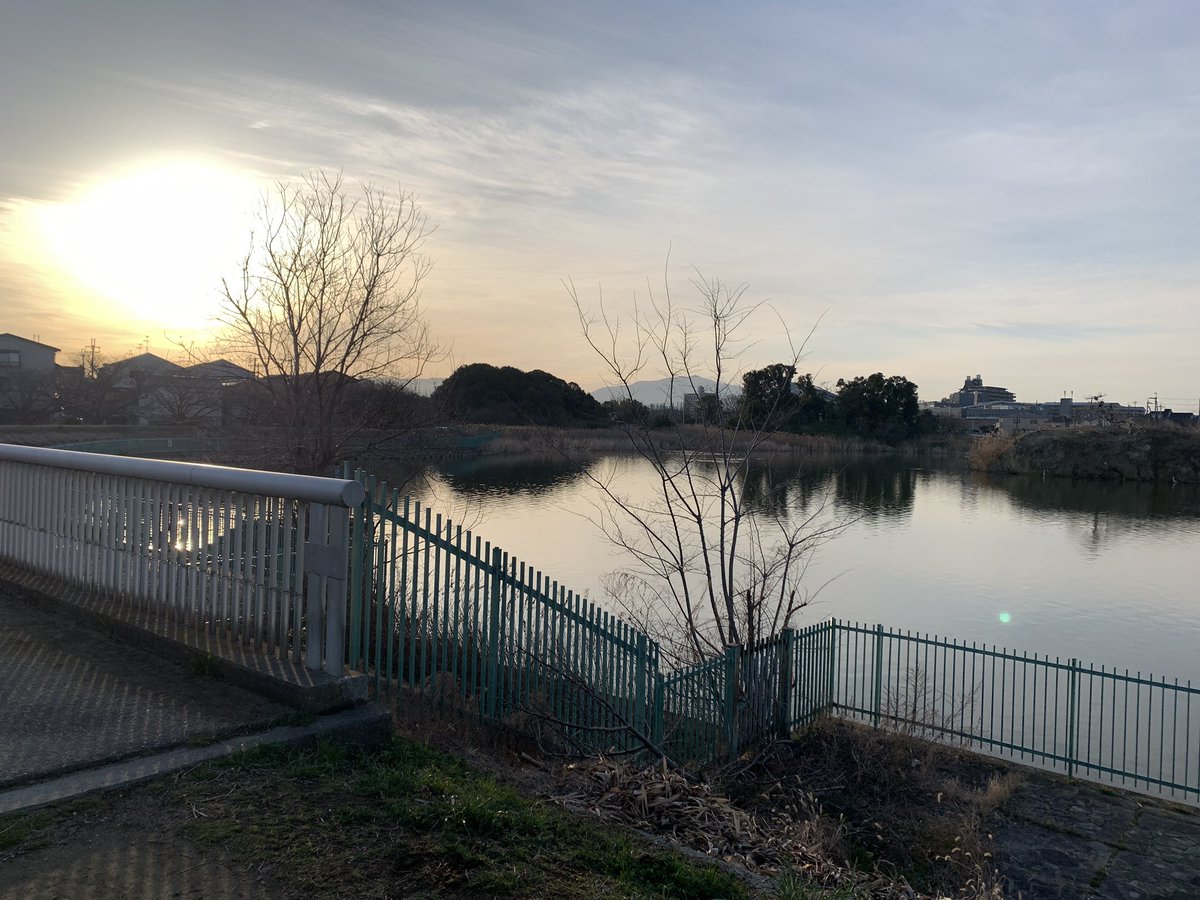 #早朝ランニング

花粉ヤバいのですぐ帰ろう。