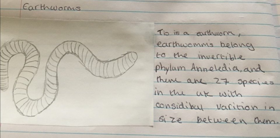 When you thought you'd seen enough snails for one week... We have these fantastic sketches by Angellica, Year 7 and photos of her little sister's pet snails. Amazing! I'm thrilled to see our students <a href="/MaestegSchool/">Maesteg School</a> share my enthusiasm! #motivatedtostrive #BridgendBL <a href="/CSC_SciTech/">CSC STEM</a>