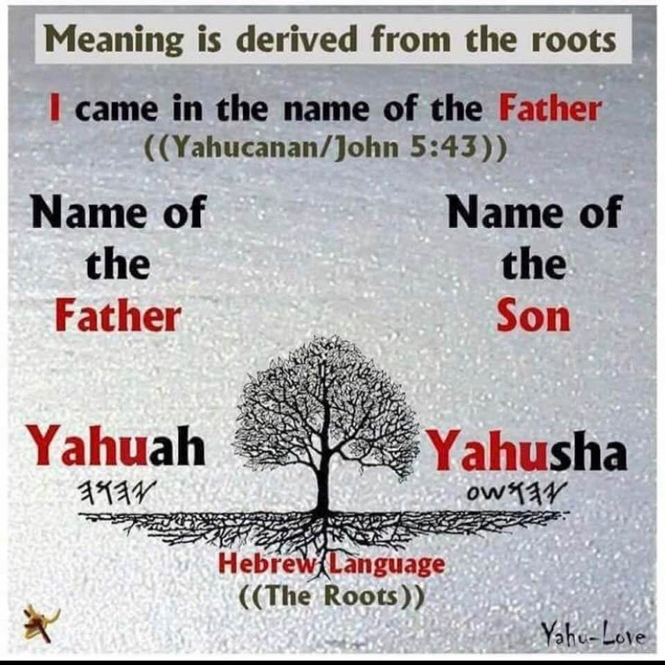ThundersSeven's tweet photo. The Son's #Name #YaHUShA was NEVER #Jesus Strong's G2424 "Iesous" from the original Hebrew H3091 Father's Name #YaHUaH [H3068] replaced <7000x with "the #LORD" &amp; "#GOD" Look it up! #TestEverything
#Whole #World #Deceived 
#TheGreatReset
#Cepher.net https://t.co/MZ1B37qpnd