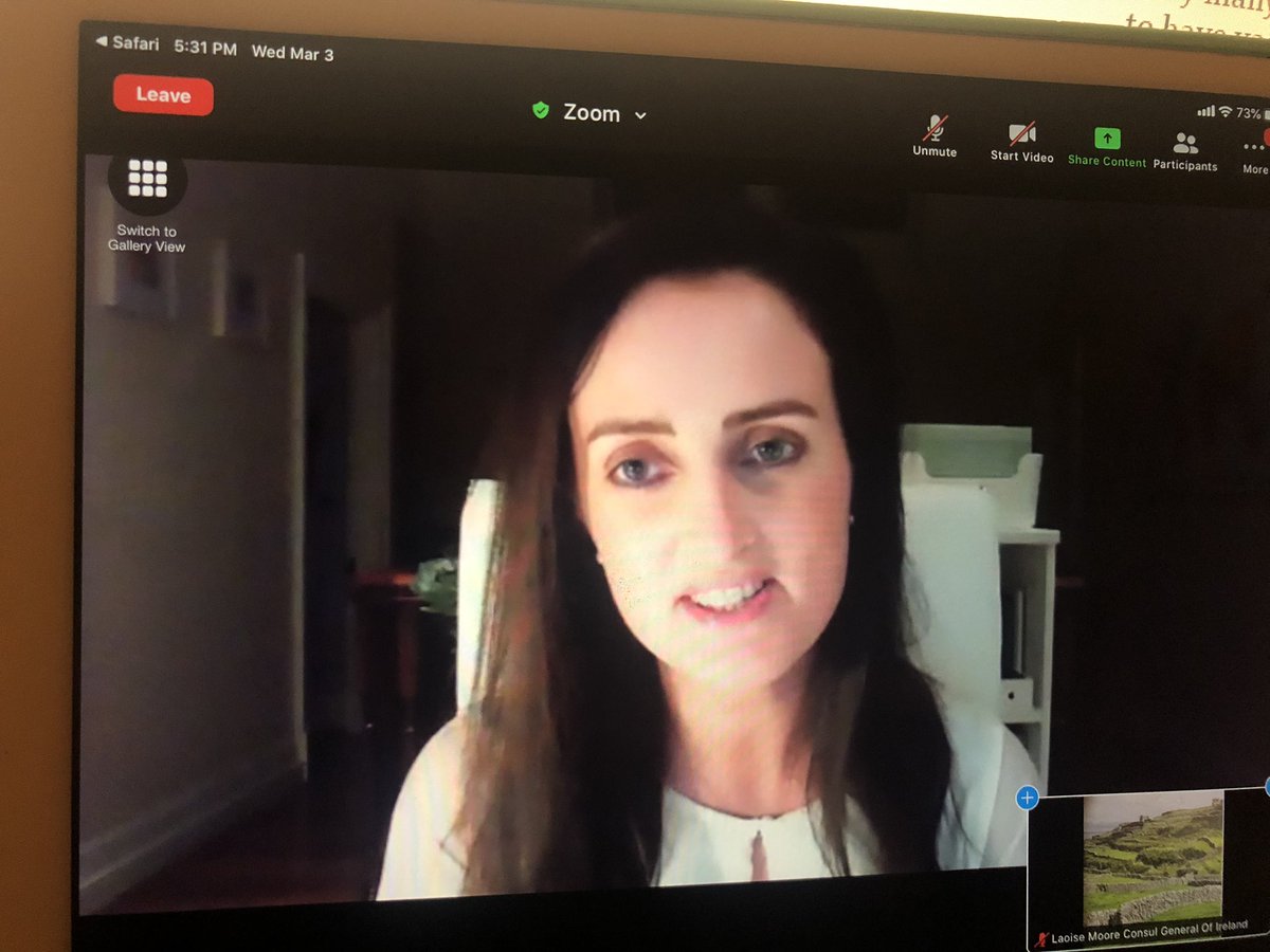 Enjoying my first event of #StPatricksDay 2021 - a <a href="/BibaBoston/">BIBA Boston</a> showcase featuring fantastic companies from across 🇮🇪 &amp; 🇺🇸