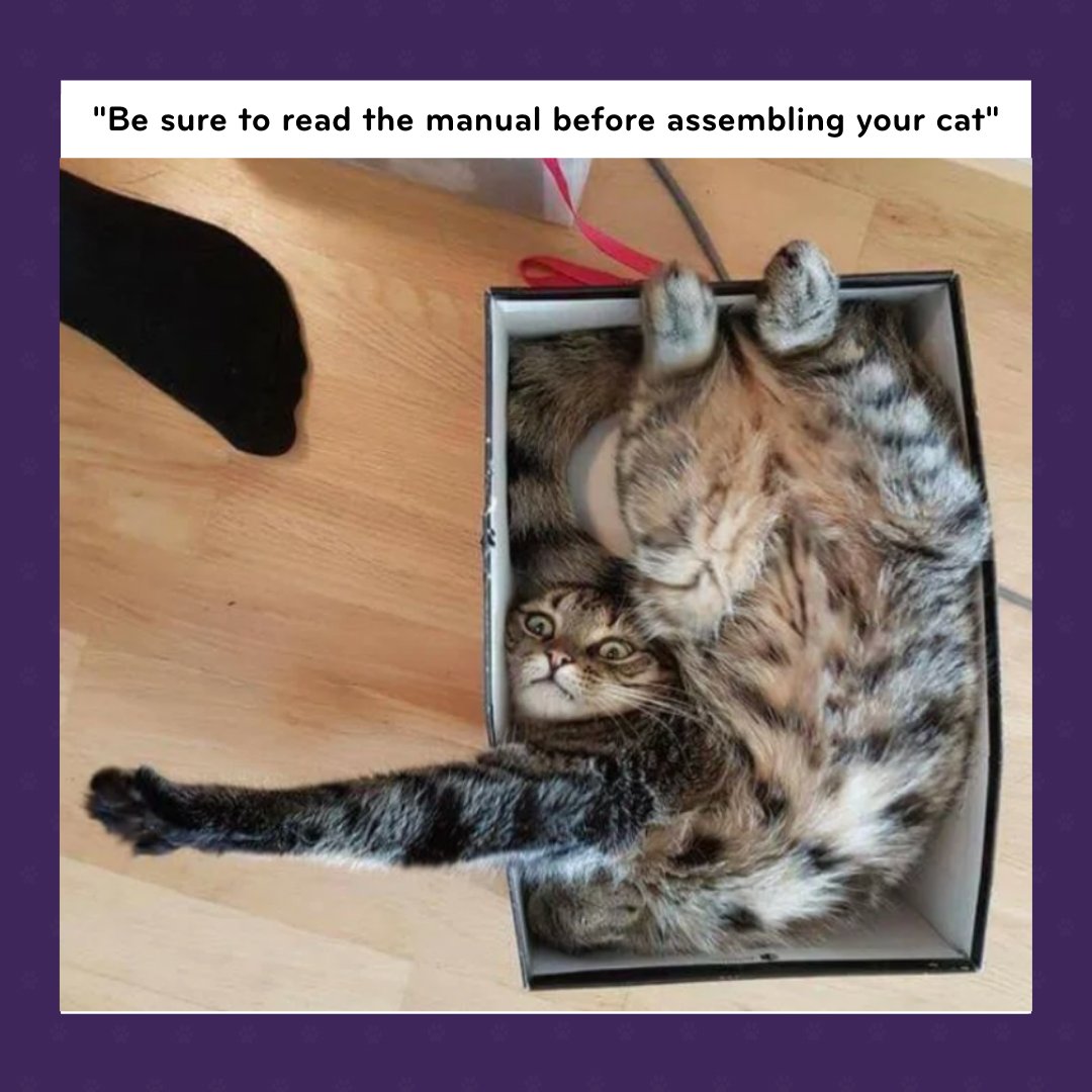 Did you try turning it off and back on again? 😹