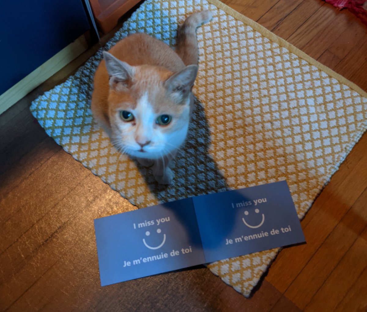 Popcorns_Views's tweet image. Everyone in 🇨🇦: 
Got your @canadapostcorp postcard?
💌📬
This is a love &amp;amp; hugs from me to my #Twitter pals! 
#WriteHereWriteNow