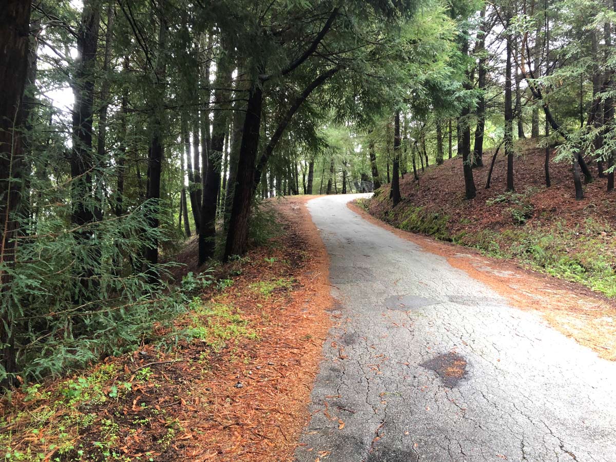 StillwaterDwell's tweet image. Our systems-built method is ideal for those locations that would prove to be problematic for most others. We are able to utilize different shipping vehicles depending on the road and site characteristics.  
#prefabricated #panelized #stillwater #house #california