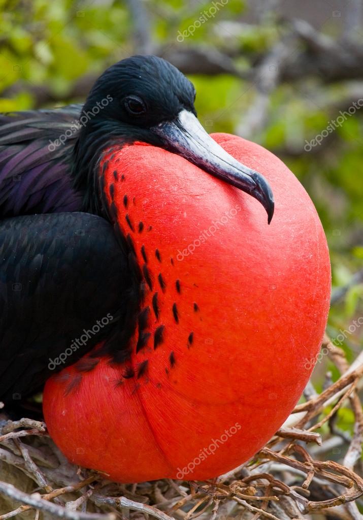 Fil923's tweet image. Io non vedo alcuna differenza #Sanrem2021