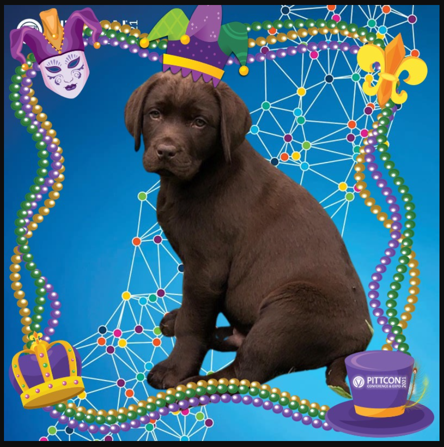 OptimizeTech's tweet image. Gilly, our office pup, is ready for #PITTCON ... are you?