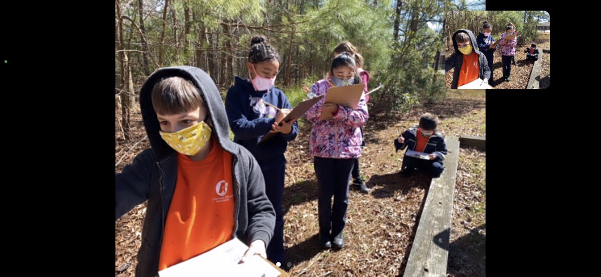 We had a 3rd grade Nature Trail Exploration finding evidence to prove structure generalizations to be true with face to face and virtual Ss concurrently ⁦<a href="/SeatackAADA/">Mister Swoops</a>⁩ #seatackdreamers ⁦<a href="/VBGifted/">VBCPS Office of Gifted Programs</a>⁩ #StructuresinNature ⁦<a href="/RyanFoster25/">Ryan Foster</a>⁩ 🍃 #NatureTrailSeatack 🌲