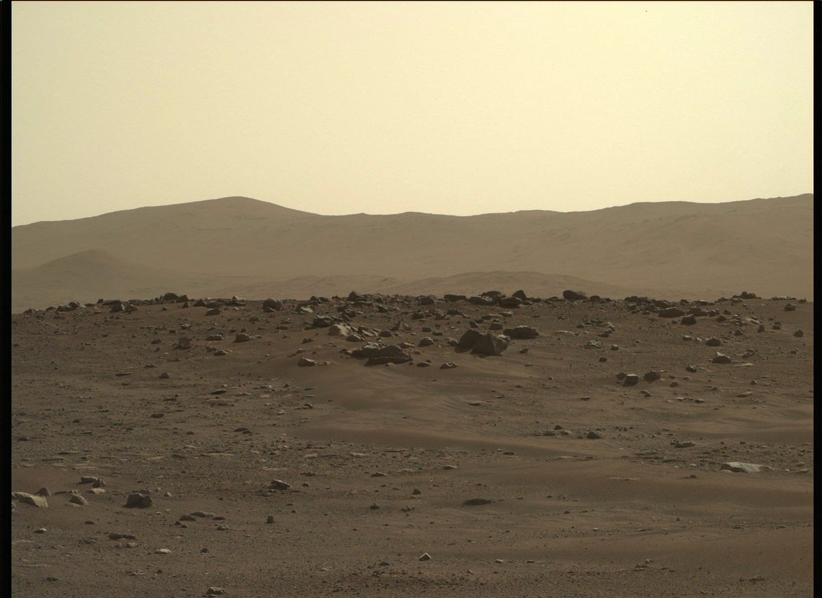 Our @NASAPersevere mission team has achieved a series of “firsts” since the rover’s landing on the Red Planet. Join us on Friday, March 5, at 12:30 p.m. PT (3:30 p.m. ET/2030 UTC) to go over these big moments and find out what’s next. https://t.co/YpVGfRwqWZ https://t.co/M24TTey70a