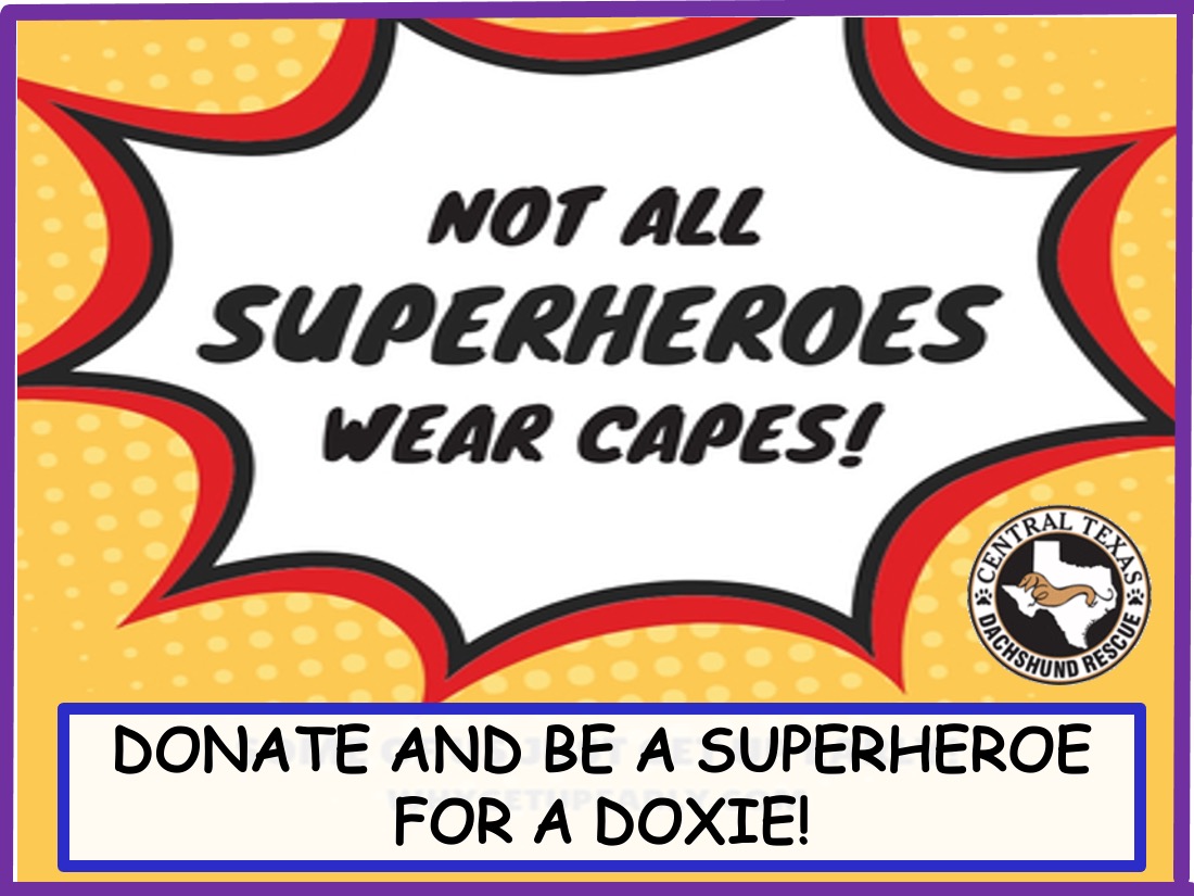 CTDR's tweet image. The world can be a dangerous place &amp;amp; sometimes there's a need for superheroes.  Put on your cape &amp;amp; be a superhero for CTDR-help misplaced &amp;amp; unwanted dachshunds! Donate to our Amplify Austin campaign today by 6 PM. #ctdr #AmplifyCTDR tinyurl.com/1nnqmxkv