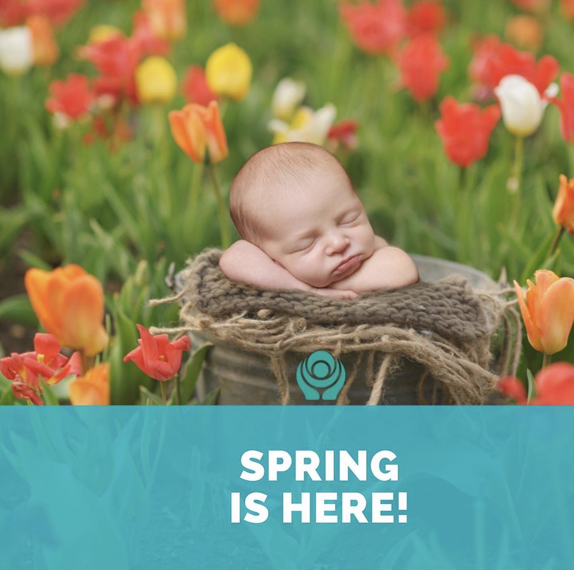WesternFert's tweet photo. Hello March! 🌸 🌺 🌹 
Spring is a lovely reminder of how beautiful change can truly be. #newbeginnings
#wfi #WesternFertility #drashimkumar #IVFsuccess #fertility #pregnancy #surrogacy #eggdonation #genderselection #PGStesting #bestclinic #infertility #losangelesivfclinic https://t.co/3RCZhWS1xw