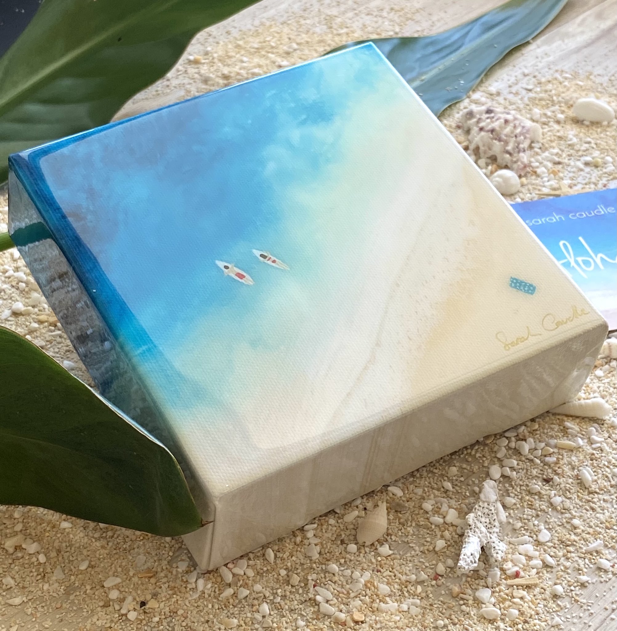 【新品】Sarah Caudle（サラ カードル）paddle out 新品】Sarah Caudle（サラ カードル）paddle out