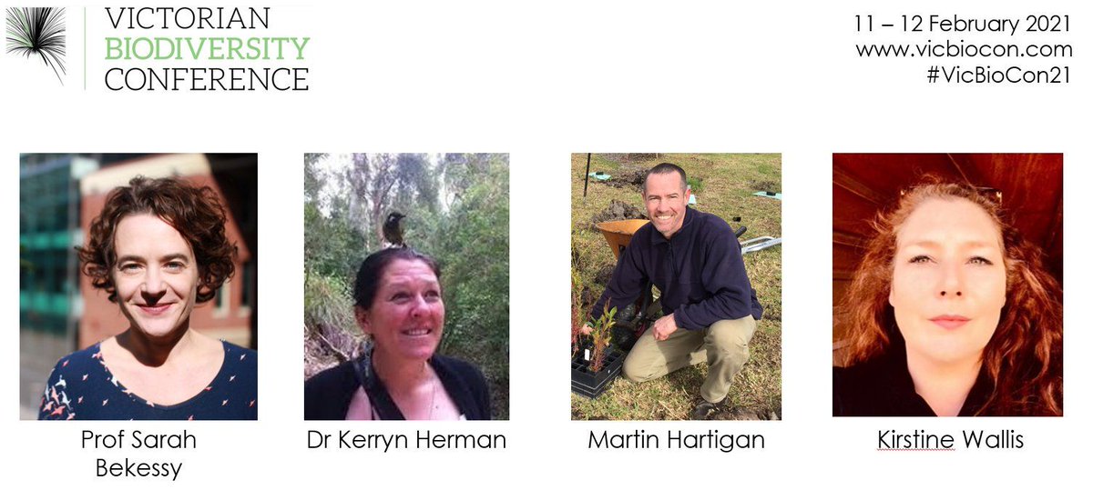 CleanAir&UrbanLandsc (@caulhub) on Twitter photo Did you miss the panel discussion, ‘Creating sustainable, liveable cities for people and wildlife’ at #VicBioCon21?
Here’s your chance to catch up on the engaging discussion, featuring CAUL’s <a href="/HurleyJoe/">Joe Hurley</a>, <a href="/sbekessy/">Sarah Bekessy</a> and <a href="/SuperSculptress/">Kirstine Wallis</a>.
youtube.com/watch?v=dnQw9D… Did you miss the panel discussion, ‘Creating sustainable, liveable cities for people and wildlife’ at #VicBioCon21?
Here’s your chance to catch up on the engaging discussion, featuring CAUL’s <a href="/HurleyJoe/">Joe Hurley</a>, <a href="/sbekessy/">Sarah Bekessy</a> and <a href="/SuperSculptress/">Kirstine Wallis</a>.
youtube.com/watch?v=dnQw9D…