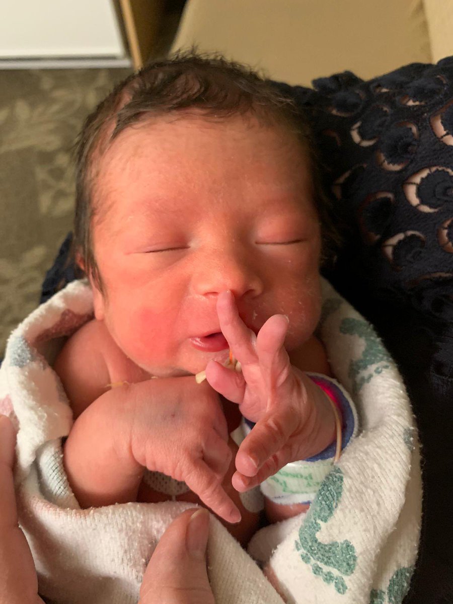 TMWarchitecture's tweet photo. Happy to announce the birth of my second son, Max! https://t.co/PQC66qgqFp