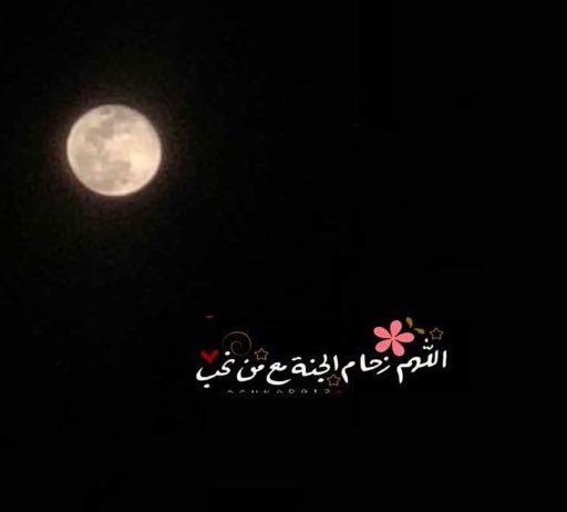 شـهــــــآبي Shehaby (@ben_shehaby) on Twitter photo 