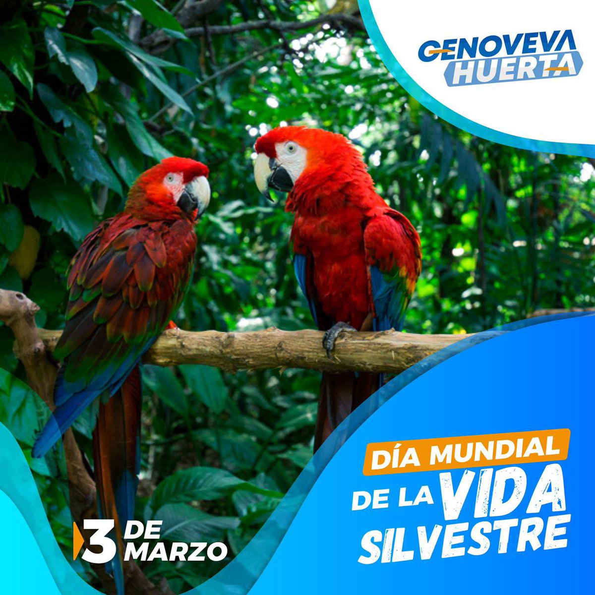 GenovevaHuerta's tweet photo. Salvar la vida silvestre es también salvar la humanidad. 🦈🐋🦓🐘🦅🐆
 #DíaMundialDeLaVidaSilvestre https://t.co/x6cczE8yRz