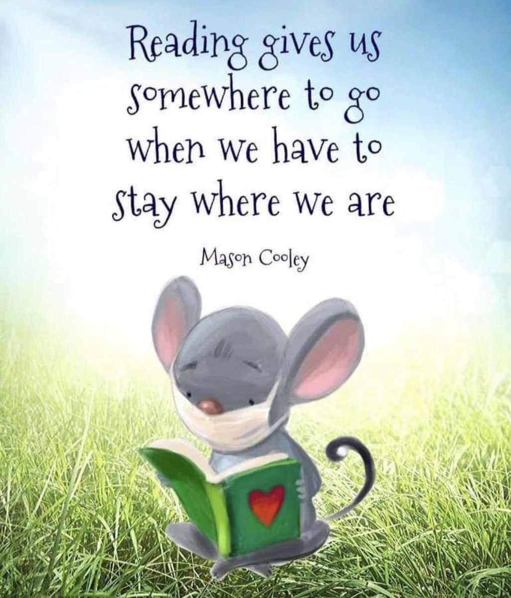 Jackie Macchione tweet media