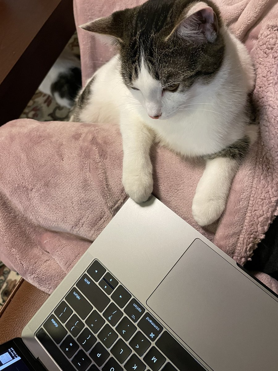 sorre,. ime wuz ina zuum meating