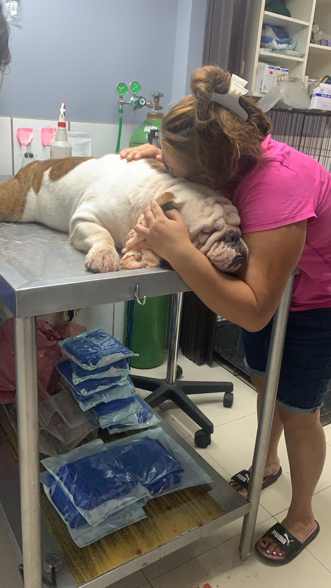 me ayudarían mucho si se toman el tiempo de leer y ayudarme con un rt y un like ‼️