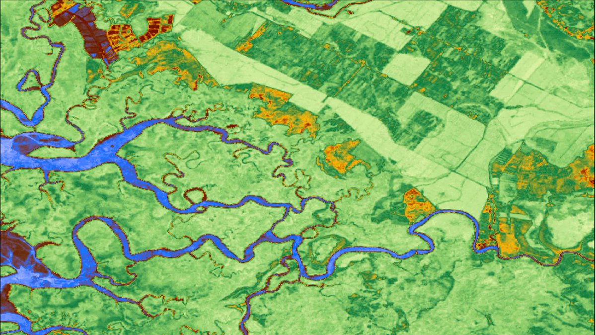 In order to study climate change better, researchers want to access, analyze and process large amounts of complex land cover data more easily. So we’ve joined forces with @BU_Tweets to create a cloud computing platform for global climate change scientists. https://t.co/t9bOx8fgWD https://t.co/vFMsNgkeNv