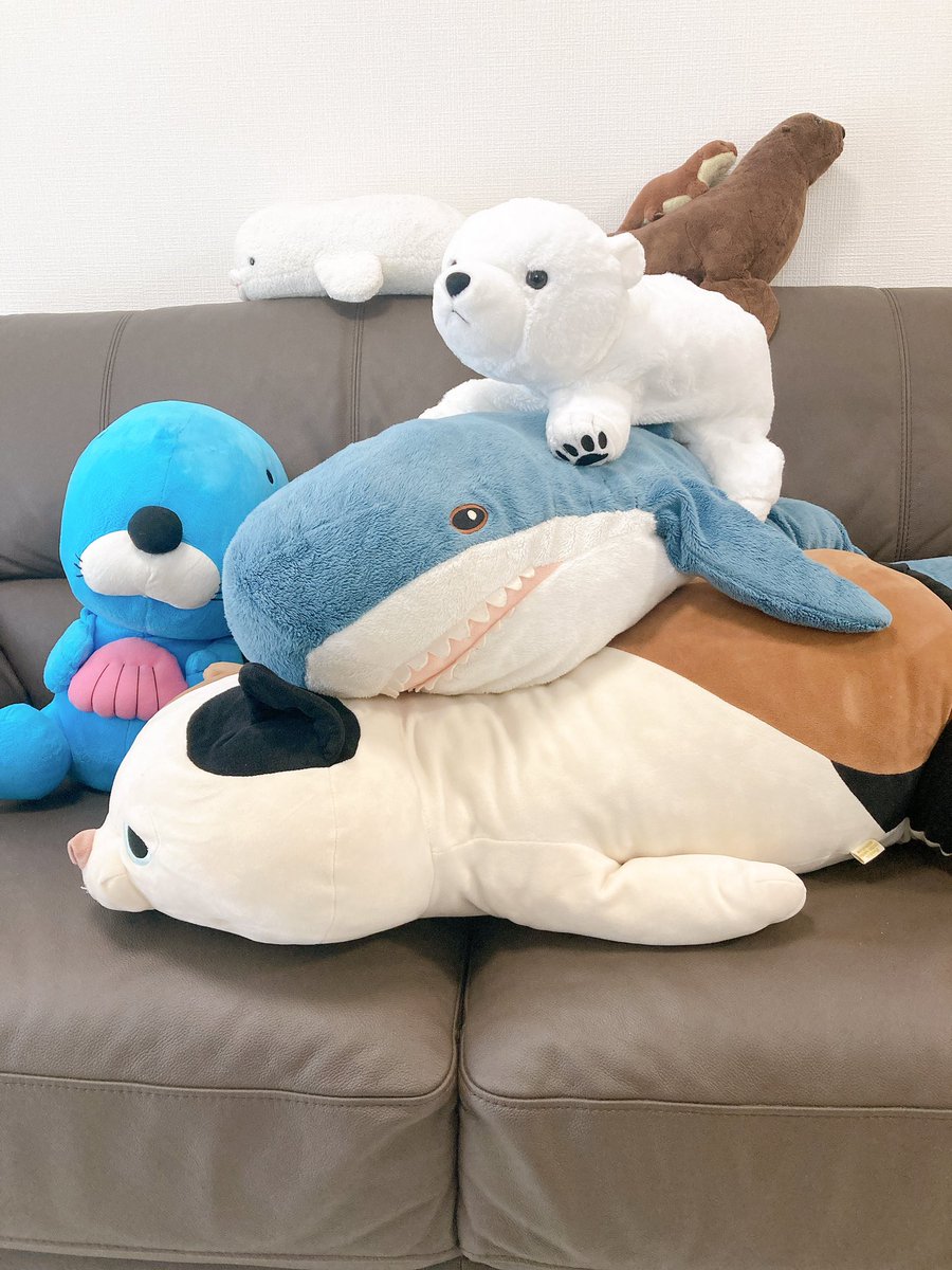 音黒くろ 治癒の錬金術師 ゆる募 ぬいぐるみたちをそろそろ洗ってあげたいんだけど洗濯の仕方がわからない 特に大きい下2人 ネコとikeaのサメ の汚れが目立ってきてるから洗ってあげたい 家にあるのはドラム式洗濯乾燥機だけどそのまま放り込んで
