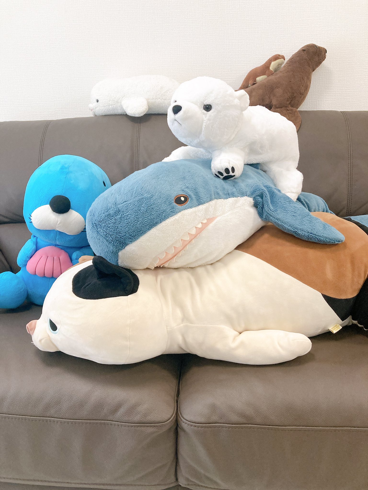 音黒くろ 治癒の錬金術師 ゆる募 ぬいぐるみたちをそろそろ洗ってあげたいんだけど洗濯の仕方がわからない 特に大きい下2人 ネコとikeaのサメ の汚れが目立ってきてるから洗ってあげたい 家にあるのはドラム式洗濯乾燥機だけどそのまま放り込んで