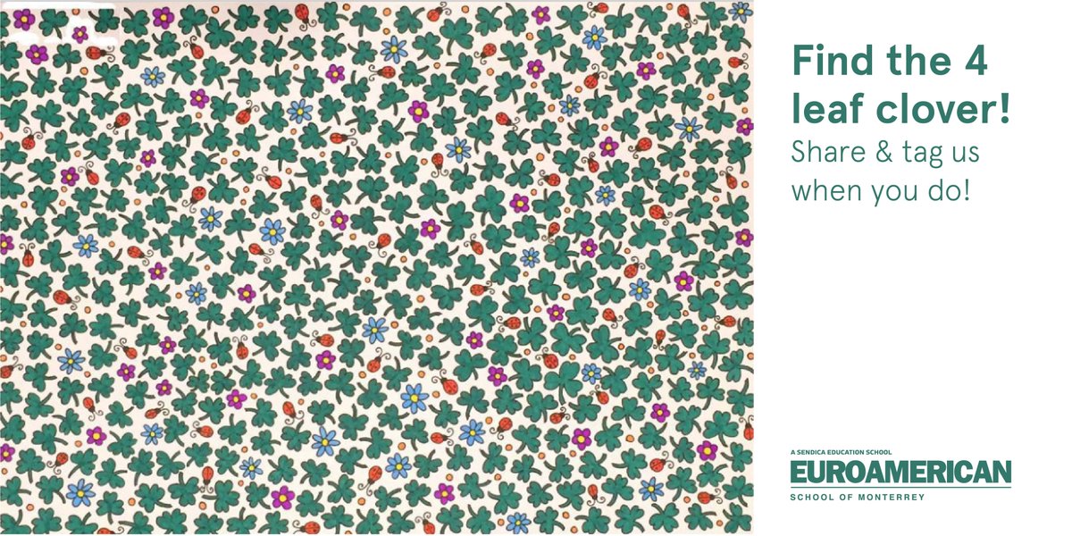 ColegioEuroamericano (@euromty) on Twitter photo 