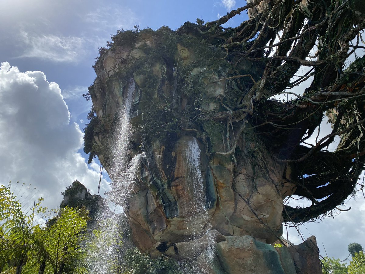 Hunter25Killer's tweet photo. A few more snapshots from the epic vacation I just got back from! I got to hit up Universal, Animal Kingdom, and Hollywood Studios with my gf and friends! #AnimalKingdom #HarryPotter #HollywoodStudios  #UniversalOrlando https://t.co/iOrPFtYtAL