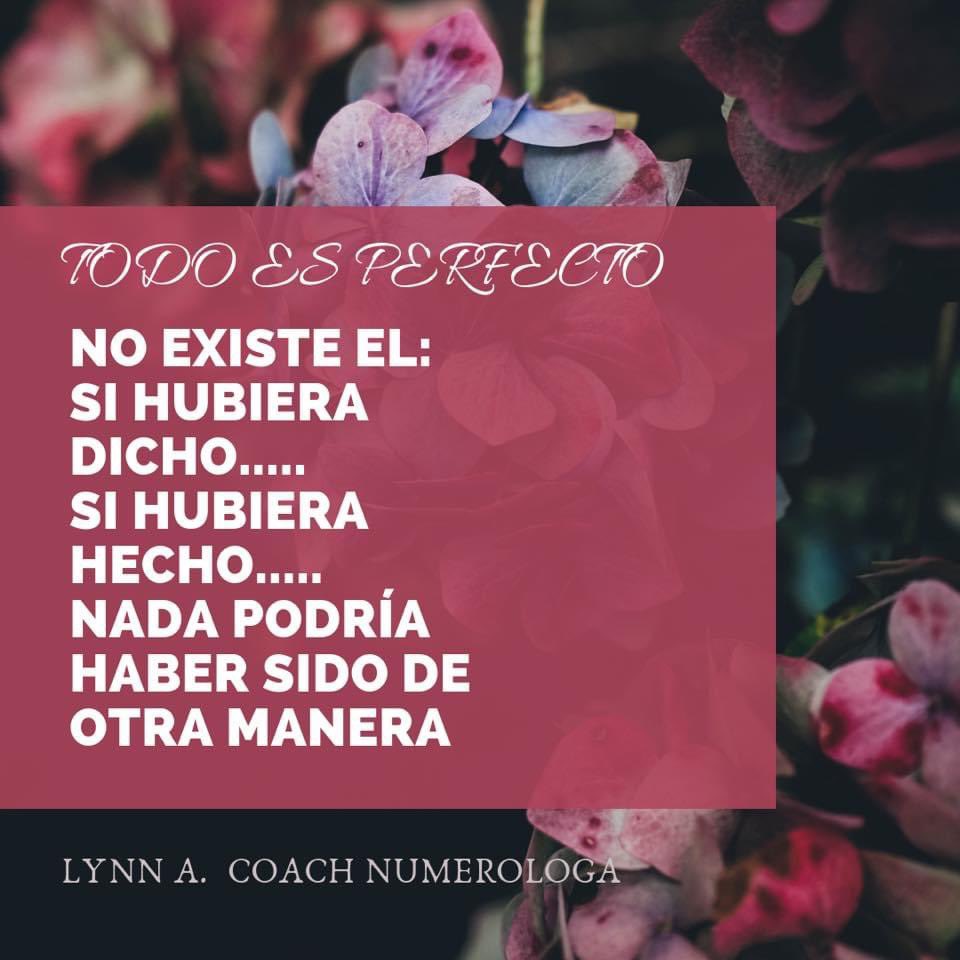 LynnAguirre's tweet photo. Te regalo este post https://t.co/xlucEXB8yL