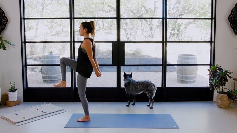 Yoga_Journal's tweet photo. "We gain an immense amount of strength from having a conscious and loving relationship with our https://t.co/FIQ0csKbyW is poetic. It’s practical. Today’s theme is strength. Gather. Gather. #ywabreath"

🌿#YJrepost
To see more from this sequence head over to @adrienelouise https://t.co/vpyVTGVznt