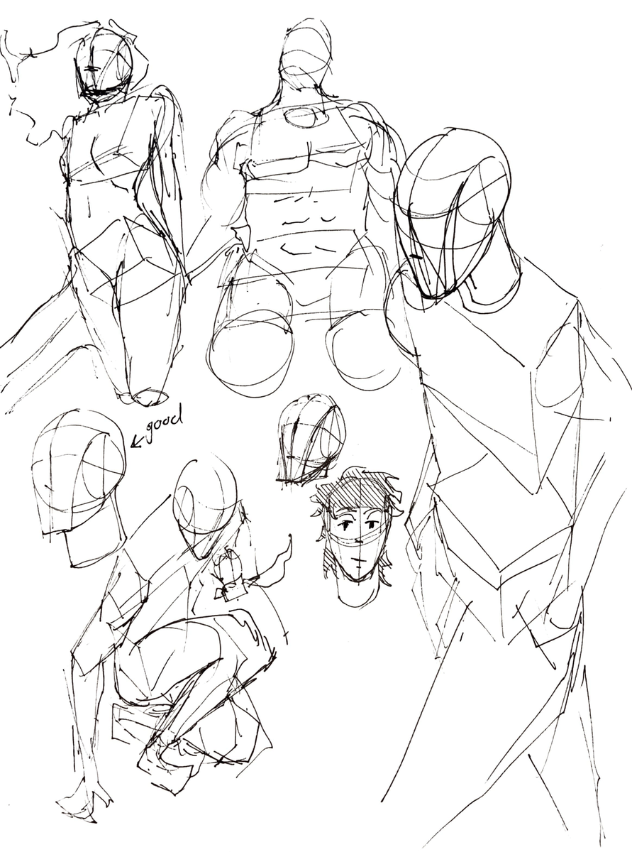 loomis head and general anatomy/figure studies 
