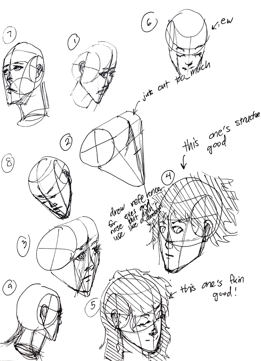 loomis head and general anatomy/figure studies 