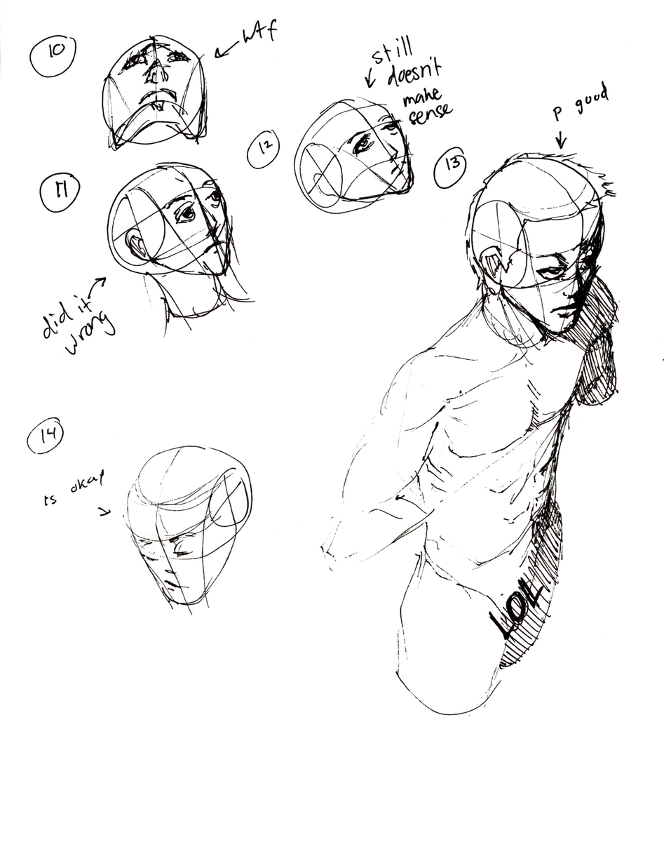 loomis head and general anatomy/figure studies 