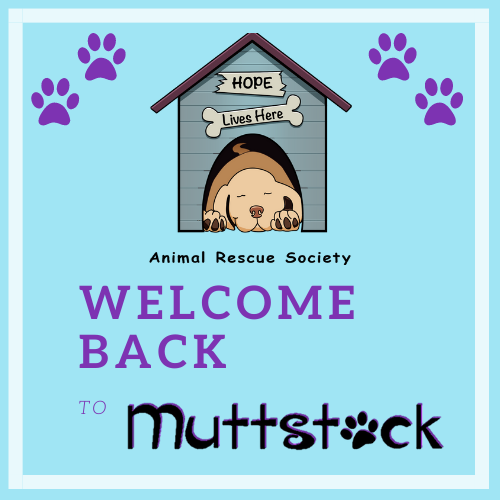 Muttstock tweet media