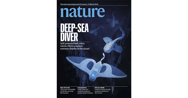NatureJapan's tweet image. Nature 3月4日号「Deep-sea diver」をアップしました。go.nature.com/2MJWFYh #ネイチャー #Nature #softrobot #Deepseasubmersiblesubmersible