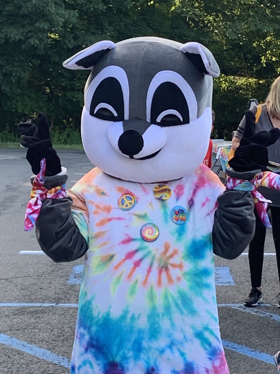 NurseViola's tweet photo. Everyone is getting ready for the 1st annual Viola Rainbow Day. Just one act of kindness and let it turn into a huge rainbow of joy and happiness. 🌈❤️😷😃 https://t.co/cnLvQE6D2e