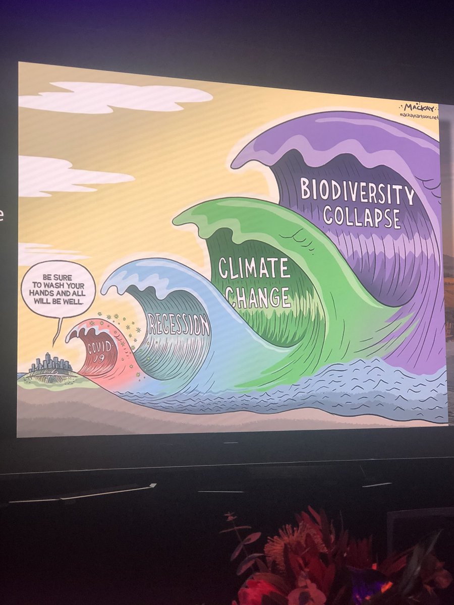 Tourism Tribe tweet media