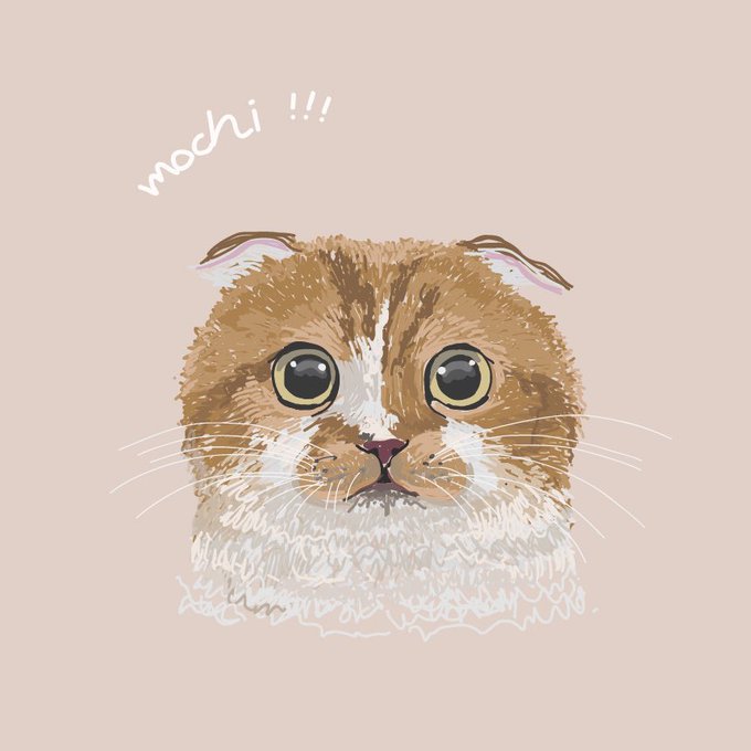 スコティッシュフォールド折れ耳のtwitterイラスト検索結果 スコティッシュフォールド折れ耳のtwitterイラスト検索結果