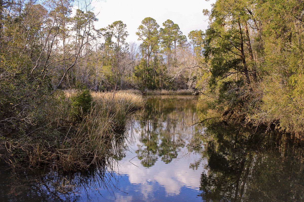 coach_3K's tweet photo. UWF nature trails 🔥🔥
#explorepage #spring2021 #colorful #vibes #explore #lifestyle #lifeliver #freec https://t.co/p9kdGi5KDy
