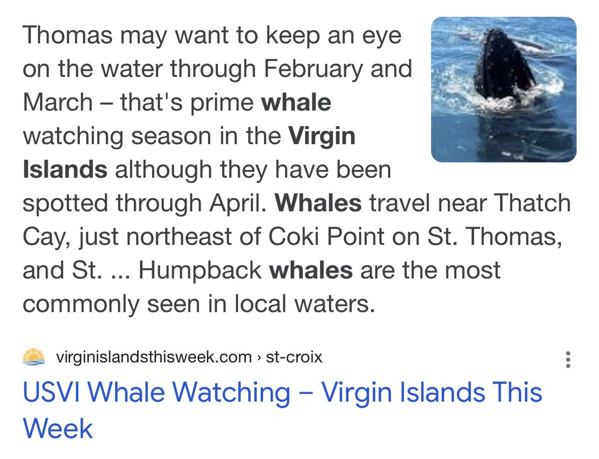 moestradamu5's tweet photo. Iโm not sure how long it takes whales to travel to the Virgin Islands, but I hear there is still time! Donโt nap on this ground-breaking #cryptovation!
#MindsEyelandTime
#cryptogetaway #CryptoArt #NFTNFT #NFTs #raredigitalart #NFTickets #NFT #NFTcollectors https://t.co/tBrPhKim3T