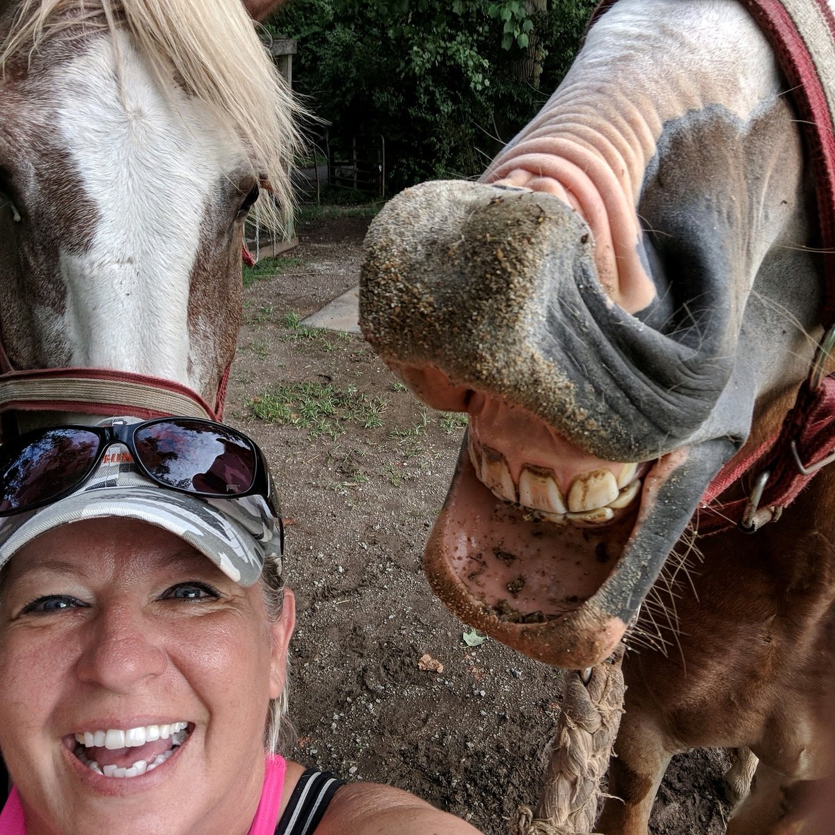 CRTT09's tweet photo. After being closed down for the entire 2020 season and wondering if I would ever be able to do carriage rides at Andrew Jackson's Hermitage again I want to share with you the emotions I had today after getting back in the drivers seat once again. https://t.co/PjqDALNzTh