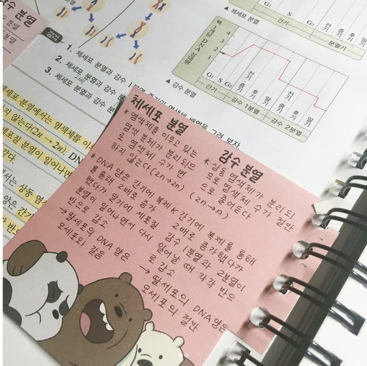 taehysmall's tweet photo. Thread explicativa sobre me tornei uma poliglota, estudando em casa e sozinha (com dicas e matérias usados por mim, em meus estudos) ~ https://t.co/LaBIs5xxO2