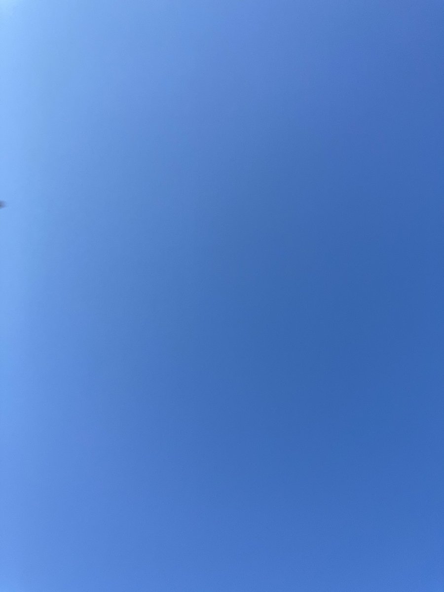 LRNFZX's tweet photo. Pgh  sky
Get outside https://t.co/fOMllk0QtN